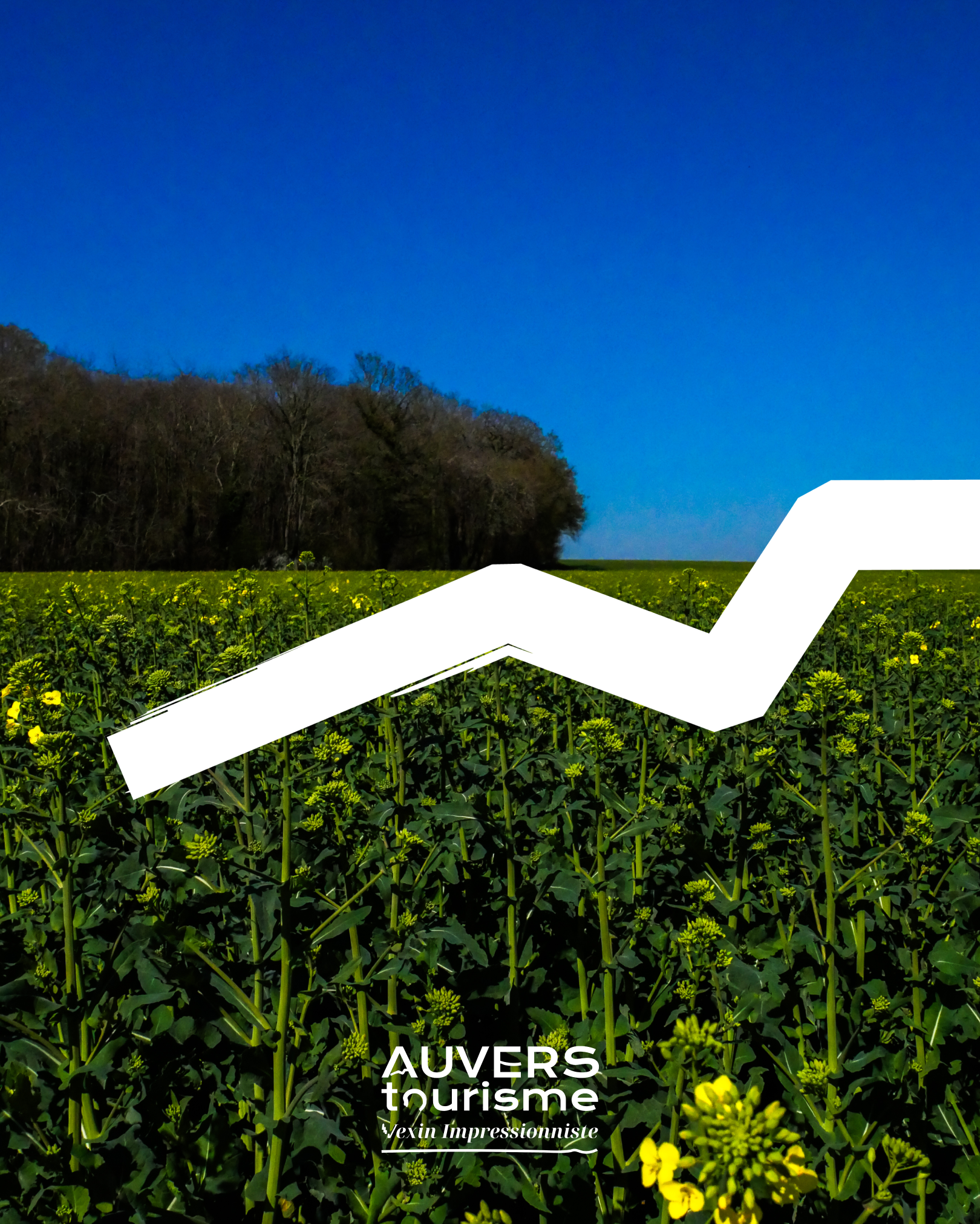 Auvers Tourisme - Logotype créer par Bonnet.M - picotgramme