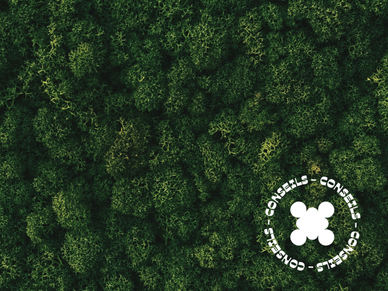 ARTICLE 43 - Bonnet.M - Comment concevoir des supports touristiques durables et écoresponsables