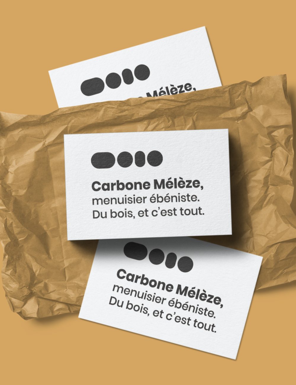 Carbone mélèze - Bonnet.M - cartes de visite recto